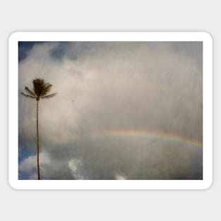 Palm Tree and Rainbow Sticker